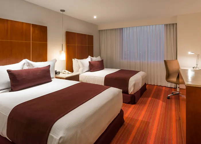 Camino Real Aeropuerto