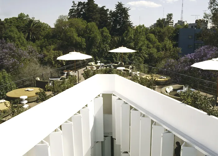 Haustierfreundliches Hotel: Condesa Df, Mexico City, A Member Of Design Hotels