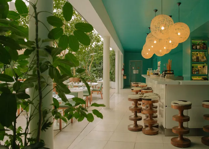 Condesa Df, Mexico City, A Member Of Design s